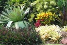 Botanic Ridgelandscape-gardener-24.jpg; ?>